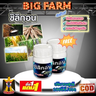 ซิลิกอน 100 ซี.ซี.ซื้อ1แถม1 (ปุ๋ยน้ำ อาหารเสริมพืช ฮอร์โมนพืช)