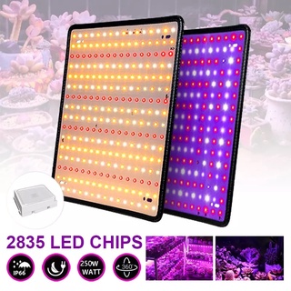 220V Full Spectrum LED Grow Light 250W 256ED แสงเหลือง/แดง ไฟปลุกต้นไม้ ไฟช่วยต้นไม้โตเร็ว แถมสายไฟให้ 1/PCS