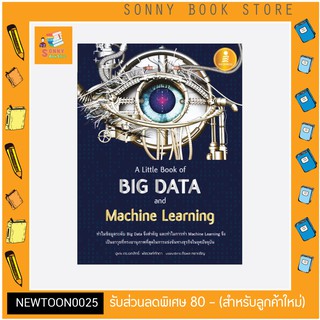 A-หนังสือ A Little Book of Big Data and Machine Learning