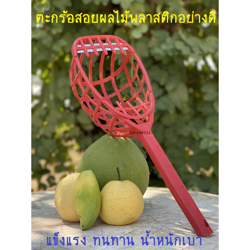 ตะกร้อสอยผลไม้พลาสติกขนาดใหญ่ มีใบมีดตัดขั้ว ถูก!! ทน!! ดี!!