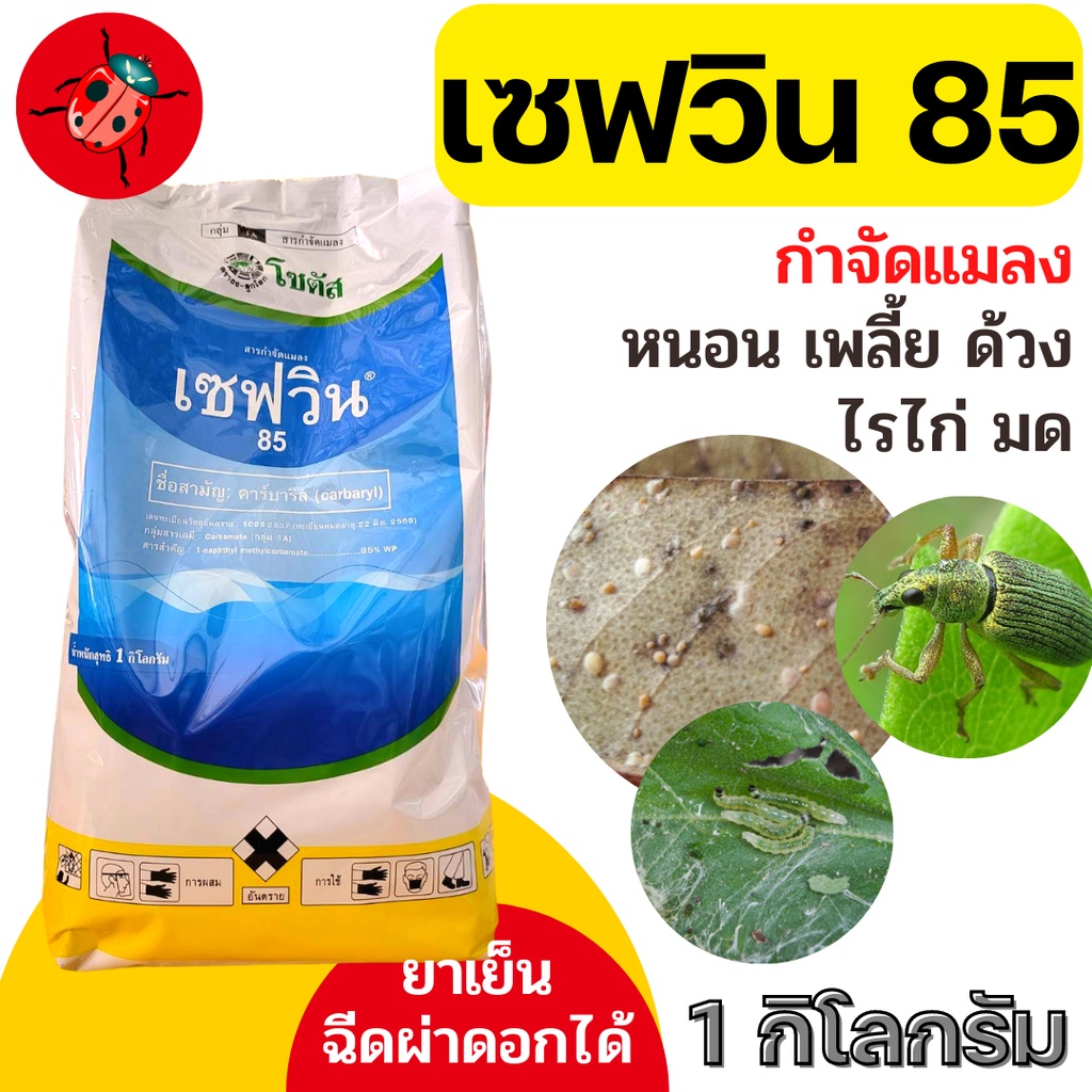 [1กิโลกรัม] เซฟวิน 85 กำจัดแมลงได้หลากหลายชนิดทั้งเพลี้ยไฟ เพลี้ยแป้ง เพลี้ยอ่อนและแมลงปีกแข็ง