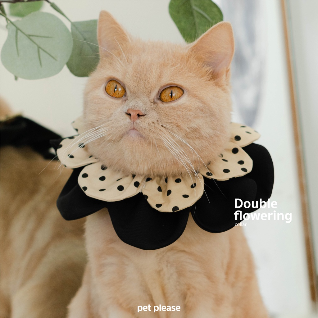 Double Flowering ปลอกคอดอกไม้ l petplease เสื้อแมว ชุดแมว หมา สุนัข