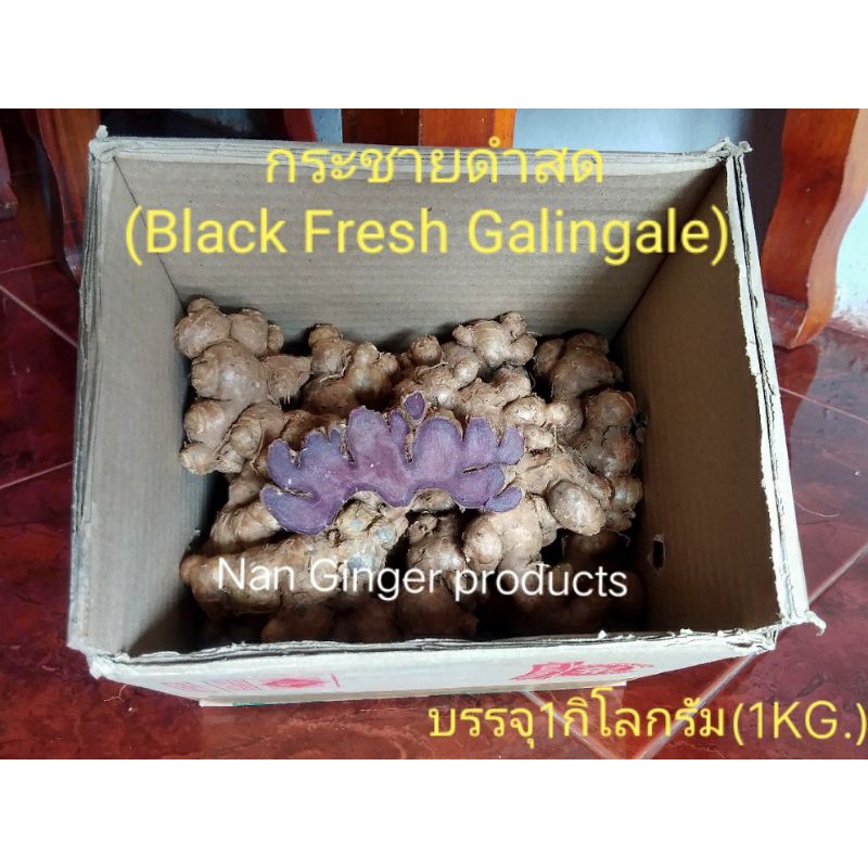 กระชายดำสดOrganic(Fresh Black Galingale)