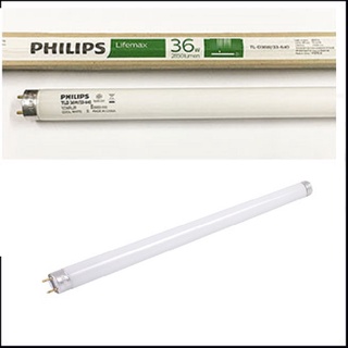 Philips หลอดไฟฟลูออเรสเซนต์ T8 36W Daylight ยกแพ็ค 3 /10 / 25หลอด แบบสั่งแยกได้ หลอดไฟยาว