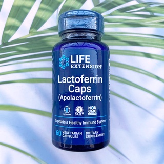 แลคโตเฟอริน Lactoferrin Caps Apolactoferrin 60 Vegetarian Capsules (Life Extension®) แลคโตเฟอร์ริน ภูมิคุ้มกัน ควบคุมระดับธาตุเหล็กในเลือด