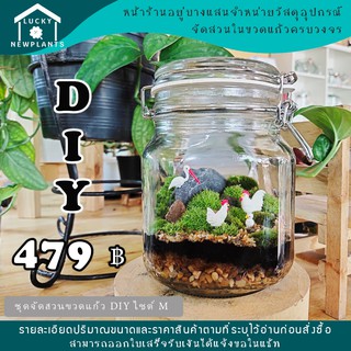 ชุดจัดสวนในขวดแก้ว DIY ไซต์ M-2 ราคา 479 บาท