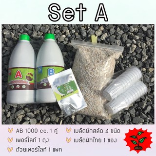 ชุดทดลองปลูก SET A  (ธาตุอาหารสารละลาย AB)