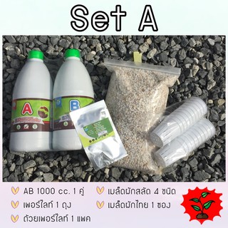 ชุดทดลองปลูก SET A  (ธาตุอาหารสารละลาย AB)