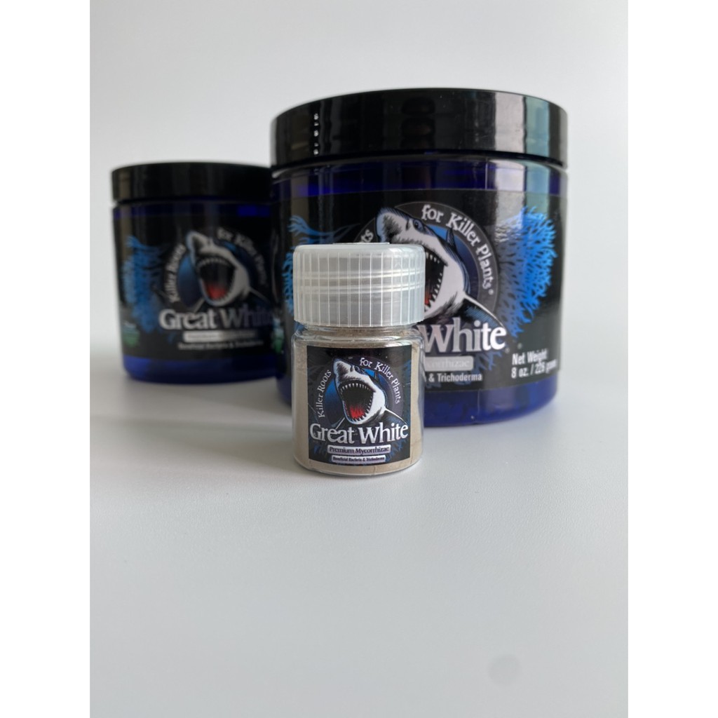 Great white mycorrhizae ผงเร่งราก 10 กรัม ของแท้ 100% ระเบิดราก นำเข้า USA เร่งโต ผงเร่ง ราก ต้นไม้ สมุนไพร แคคตัส บอนไซ – โปรปัง