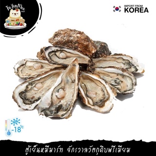 10PCS/PACK หอยนางรมสดเกาหลี 10 ตัว HALF SHELL KOREAN OYSTER