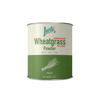 [ใส่โค้ด 115FMCG ลด 10%] ผงต้นอ่อนข้าวสาลี ขนาด 250g (Wheat Grass Powder Organic) ตรา Llamito