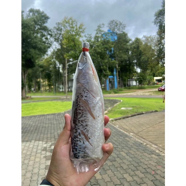 ปลาส้มพะเยา ปลาส้มแบบตัวเดี่ยว ตัวละ 29 บาท ปลาส้มแม่มาลัยเจ้าดังจังหวัดพะเยา