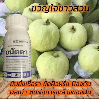 อนัตตา 1 ลิตร (1,000 ซีซี) อะซอกซีสโตรบิน (azoxystrobin) 25% กำจัดเชื้อรา โรคราดำ แอนแทคโนส ราน้ำค้าง ราแป้งทุกชนิด