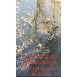แว่นยิงปลา เลนส์ตัดแสงมองเห็นปลาชัดมาก🐟🐟🐟