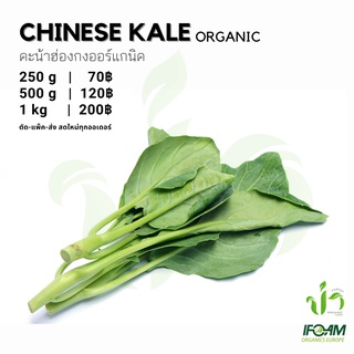 คะน้าฮ่องกงออร์แกนิค Organic Chinese Kale มาตรฐานออร์แกนิค IFOAM ผักสลัด ผักสด เก็บ-แพ็ค-ส่ง เก็บใหม่ทุกออเดอร์