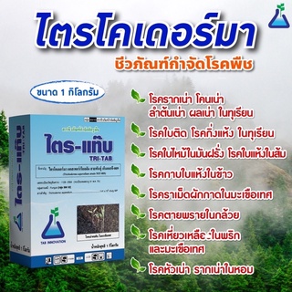 ไตรโครเดอร์มา (ไตรแท๊บ) ขนาด 1 กก.  กำจัดโรครากเน่า โคนเน่า จากเชื้อราไฟทอปธอร่า ในทุเรียน ไตร-แท๊บ ทีเอบี