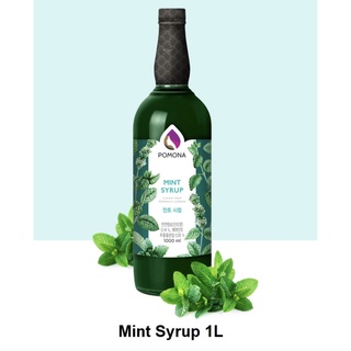 MINT SYRUP POMONA ไซรัปกลิ่นมินท์ โพโมนา ขนาด 1,000 ml.