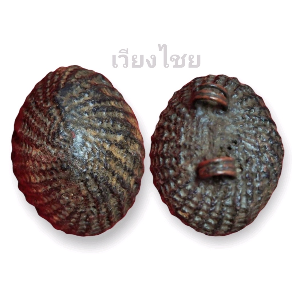 เบี้ยแก้หลวงปู่บุญ วัดกลางบางแก้ว [10 แถม 1 ]