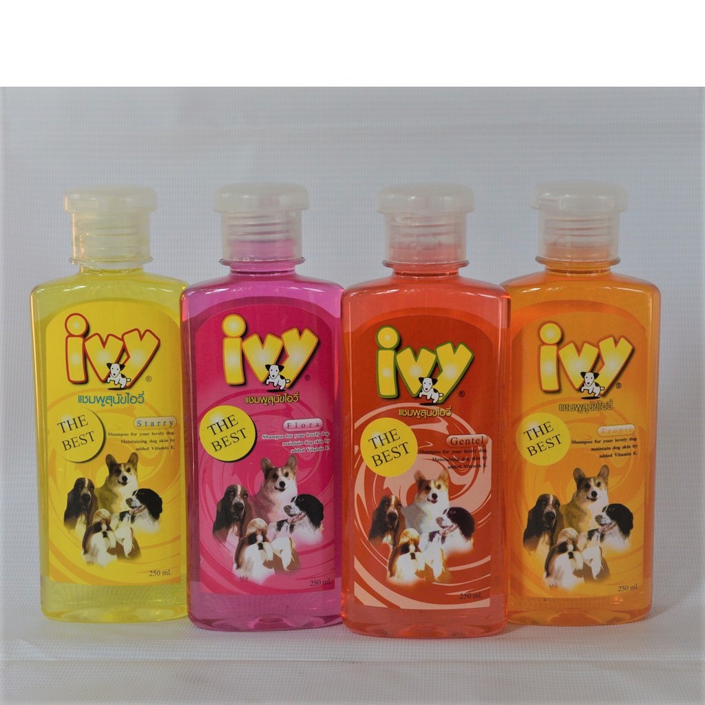 ไอวี่ Ivy แชมพูอาบน้ำสุนัข Dog Shampoo ขนาด 250 ซีซี.CC.