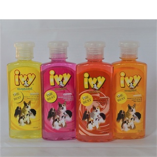 ไอวี่ Ivy แชมพูอาบน้ำสุนัข แชมพูอาบน้ำหมา แชมพูสุนัข แชมพูหมา แชมพูไอวี่ Dog Shampoo ขนาด 250 ซีซี.CC.