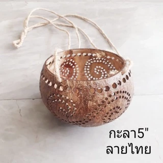 #กระเช้ากะลา🥥กระเช้าแขวนต้นไม้ กะลาลูกใหญ่