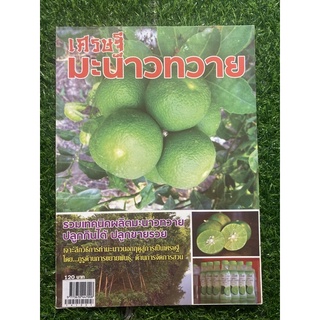 หนังสือเศรษฐี มะนาวทวาย