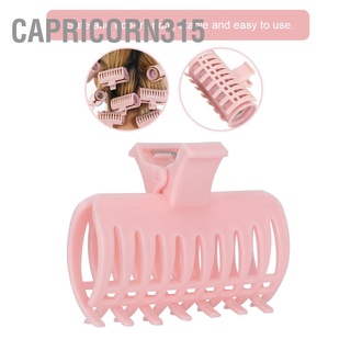 Capricorn315 15Pcs/Set Curler Clip Hair Roller Fixing Clamp Holding Section Claw Hairdressing Tool