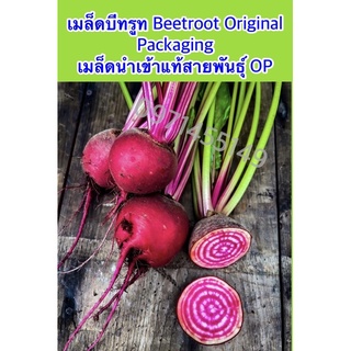 เมล็ดบีทรูท  Beetroot Original Packaging 200 เมล็ด เมล็ดนำเข้า  VG-13000-01 พันธุ์แท้ 100%  สายพันธุ์ OP