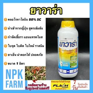 ยาวาร่า ขนาด 1 ลิตร คลอโรทาโรนิล 50% SC นำเข้าจากญี่ปุ่น สูตรเข้มข้น ป้องกันและกำจัดเชื้อรา แอนแทรคโนส ใบจุด ใบไหม้