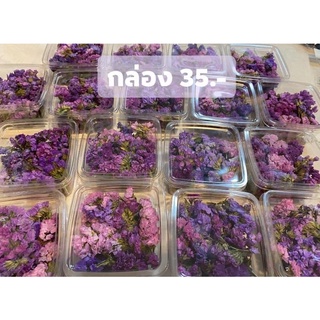 ดอกสแตติสแห้ง 10 บาท