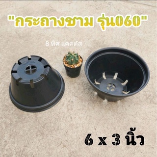 กระถาง กลม 060 ทรงถ้วย // กด 50 ใบ 400 -- กระถาง 6 นิ้ว -- กระถางพลาสติก กระถางแคคตัส กระบองเพชร