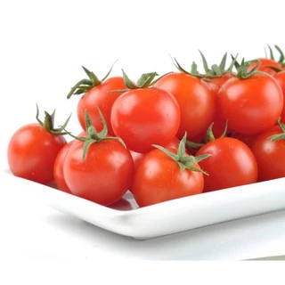 เมล็ดพันธุ์ มะเขือเทศเชอรี่ Red Cherry Tomato Seed บรรจุ 100 เมล็ด คุณภาพดี ของแท้ 100%