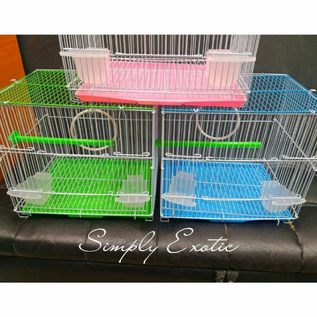 คอนนกพลาสติก ยาว21ซม. ใช้ยึดติดกรงสำหรับนก กระรอก ชูการ์ไกลเดอร์ - รูปที่ 3