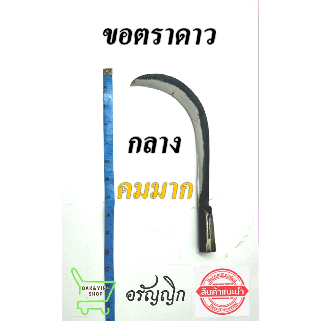 คมมาก!!! ตะขอตราดาว ขอแต่งต้นกล้วย มีดอรัญญิก