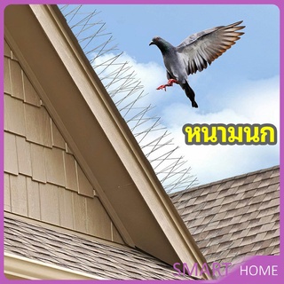 หนามไล่นก อุปกรณ์ไล่นกทำรัง ทนทาน ทนแดด ทนฝน bird thorn