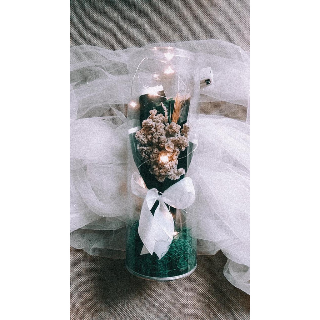 Edelweiss_tube พร้อมไฟ LED