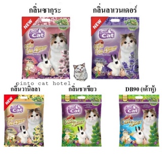 ทรายเต้าหู้ Catty Cat  ทรายแมว เต้าหู้ แคตตี้แคท 6L ทรายธรรมชาติ มีกลิ่น เต้าหู้ ลาเวนเดอ ซากุระ วานิลลา