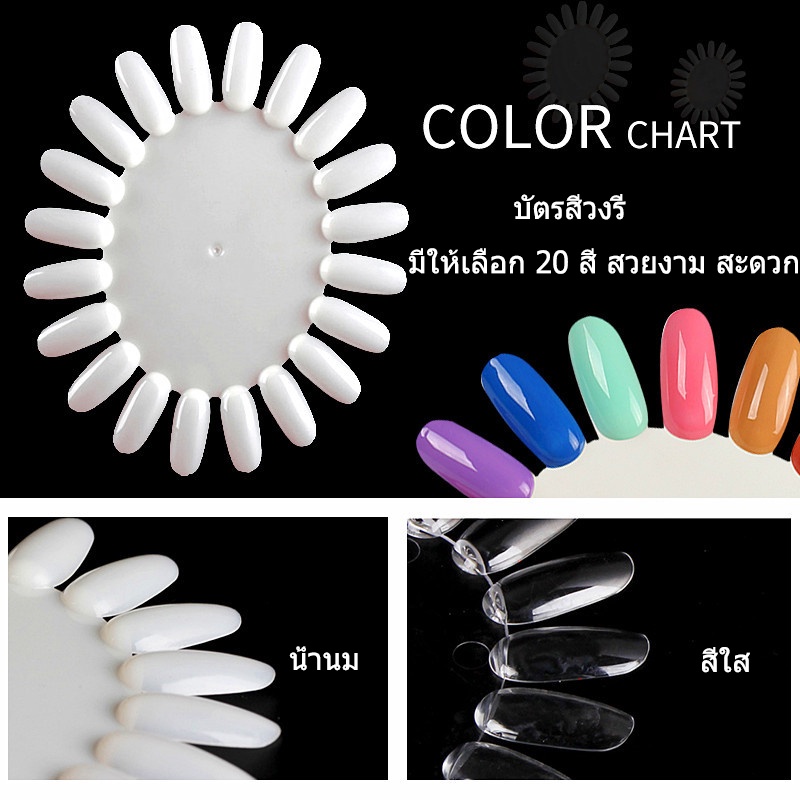 ชาร์ตสีทาเล็บ ที่ลองเล็บ Chart ชาร์ตสี วงรี 20สี  สีทาเล็บสำหรับทาสีให้ลูกค้าเลือก
