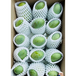 ตาข่ายโฟม​ห่อผลไม้​ หรือสินค้าต่างๆ​ กันกระแทก​