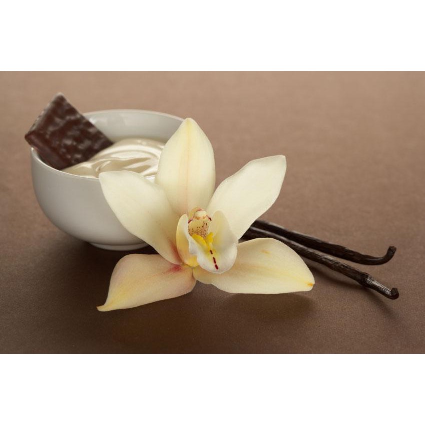 [CHEMIPAN] หัวน้ำหอมกลิ่นเฟรนวนิลลาคอฟฟี่ (French Vanilla Coffee Fragrance)25 – โปรปัง