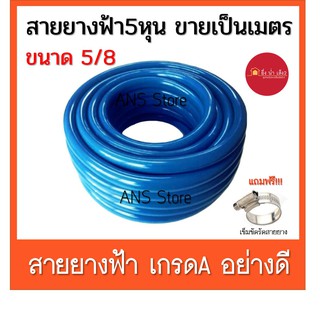 Apex สายยางสีฟ้า ยืดหยุ่นพิเศษ ไม่เป็นตะไคร่ ไม่บิดงอ 5 หุน (5/8”) แถมฟรี!!เข็มขัดรัดสายยาง