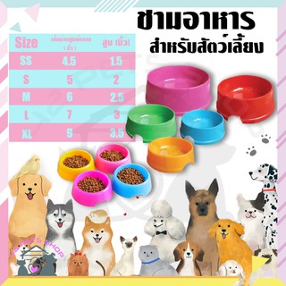 🐶🌸Pet4You🌸🐱ชามให้อาหารสัตว์เลี้ยง รุ่นเบสิค ชามข้าว สำหรับสัตว์เลี้ยง ชามข้าวสุนัข ชามข้าวหมา ชามข้าวแมว ชามกันมด ชาม