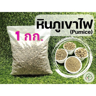 1 กก. หินภูเขาไฟ AmityGreen (Pumice)