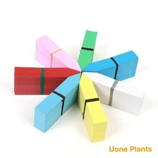 Uone Garden ป้ายชื่อต้นไม้แพ็คละ 10x2cm PVC สำหรับตกแต่งสวน 100 ชิ้น อุปกรณ์ตกแต่งสวน จัดสวน T010A