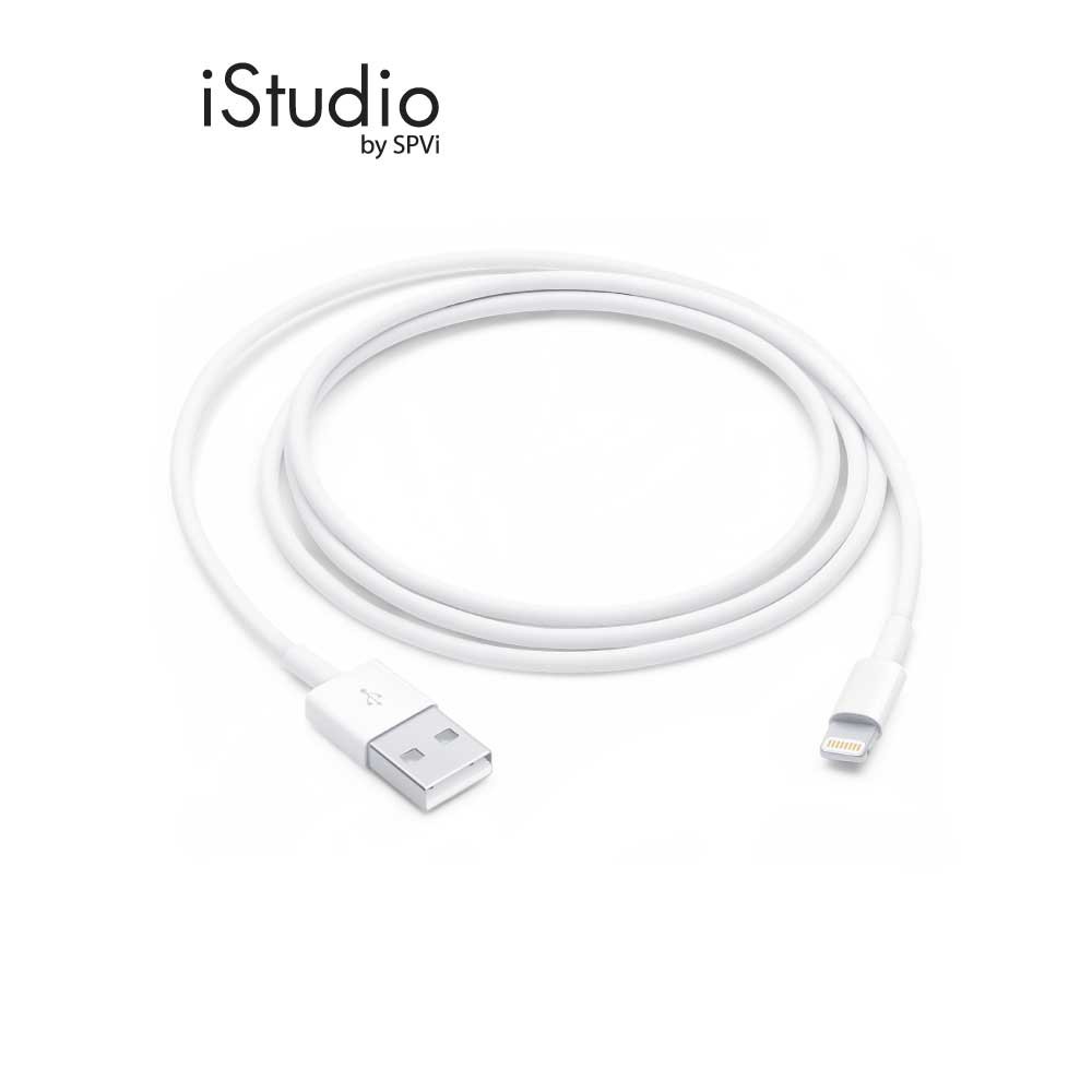 Apple Lightning to USB Cable (1M) I iStudio by SPVi