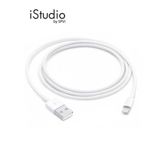 Apple Lightning to USB Cable (1M) #1