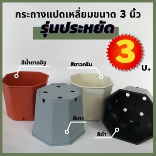 กระถางพลาสติก3นิ้ว10ใบ30บาททรงแปดเหลี่ยม ขนาด3นิ้วรุ่นประหยัด