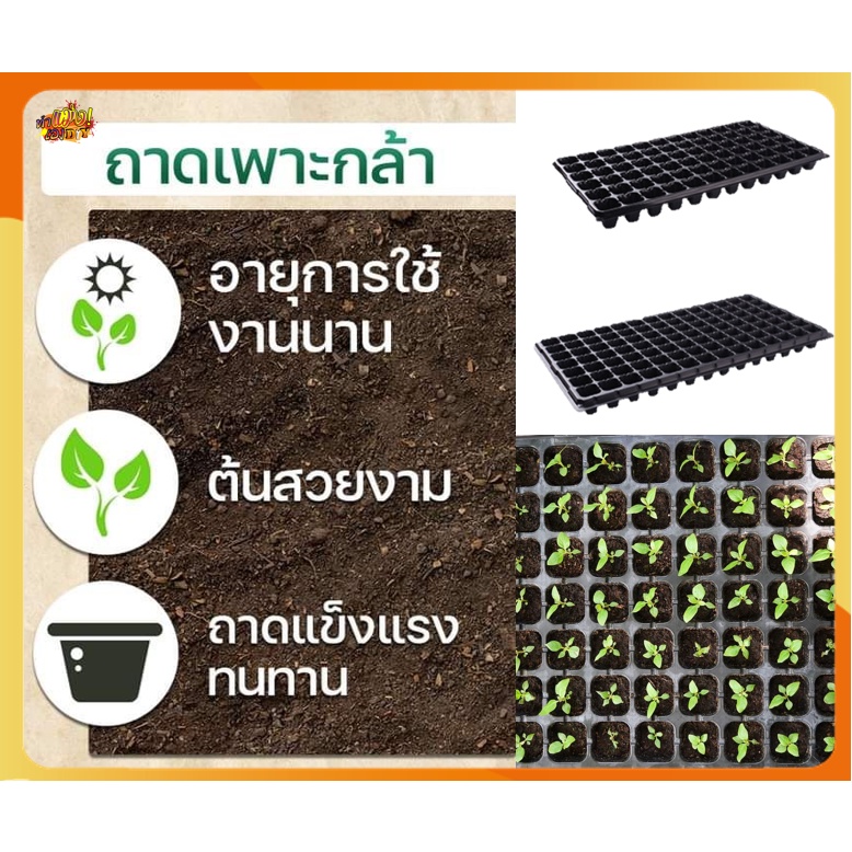 *แพค3* ถาดเพาะกล้า/เพาะชำ/เพาะเมล็ด  50, 105 หลุม