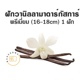 ฝักวานิลลา มาดาร์กัสการ์ ( Madagascar Vanilla Bean ) 1 ฝัก