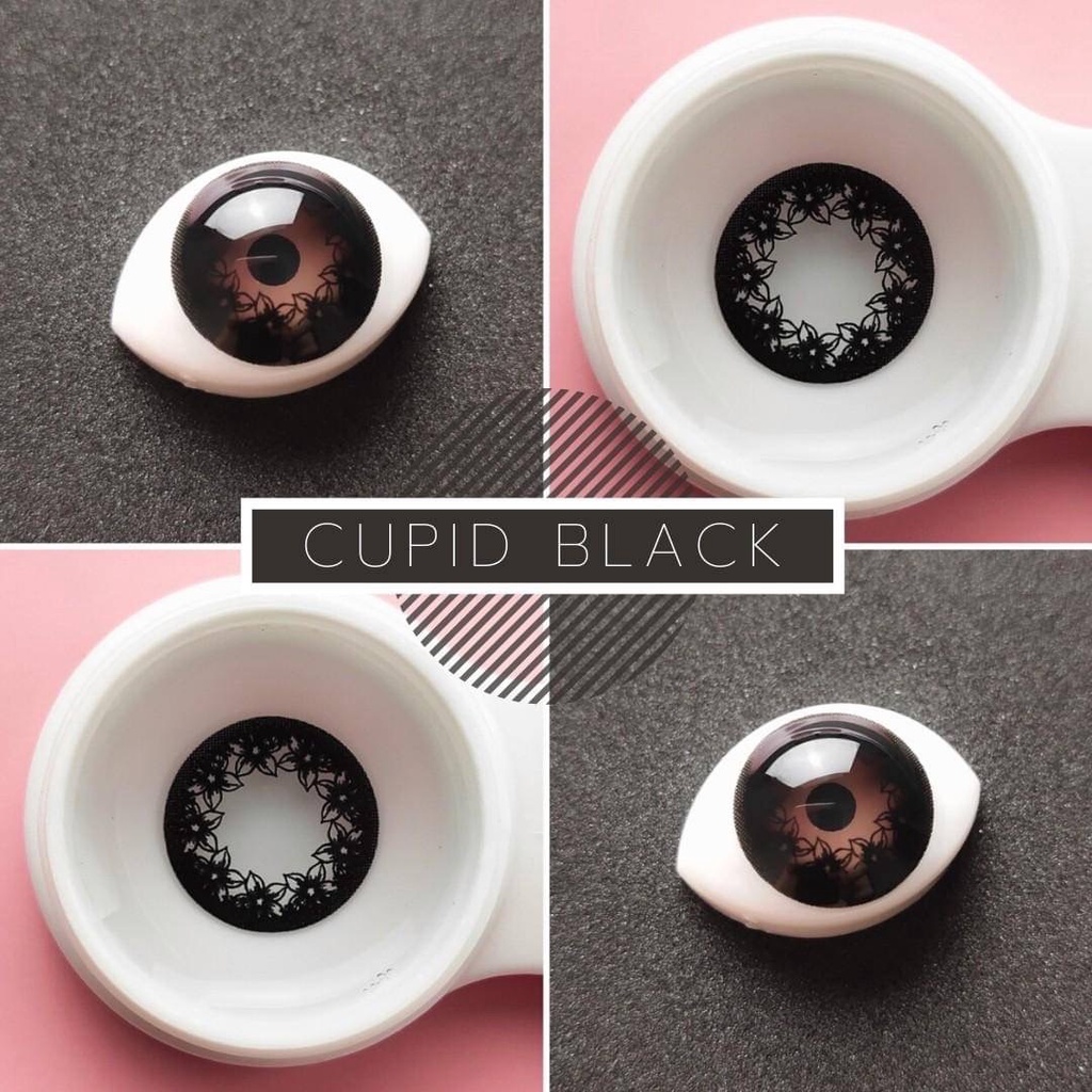 💜 Cupid Black บิ๊กอาย สีดำ ดำ สายแบ๊ว ดวงตากลมโต Dream Color1 Contact Lens Bigeyes คอนแทคเลนส์ ค่าสายตา สายตาสั้น ตาโต